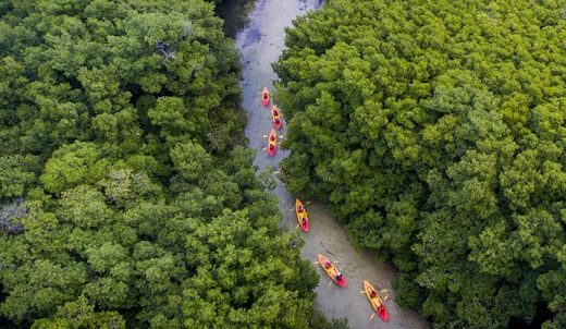 Eco Adventures Kayaks