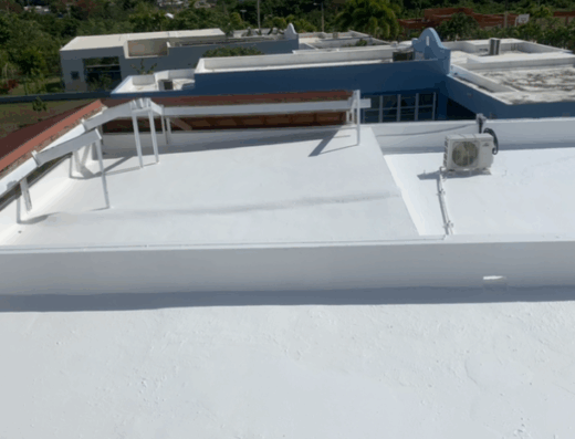 Profesional Roofing & painting Puerto Rico
