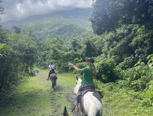 La Vista Rides Rainforest River Ride Adventures