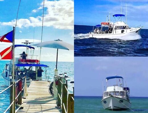 Adventures Tourmarine