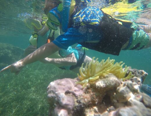 Pirate Snorkeling Shack