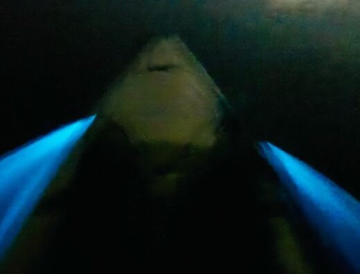 Kayaking Parguera & Bioluminescent Bay Kayak Tours