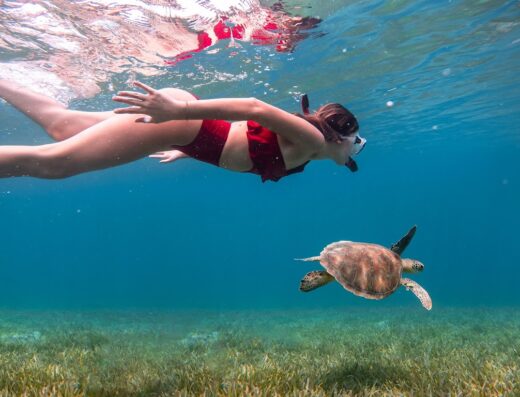 Kayaking Puerto Rico | Snorkeling