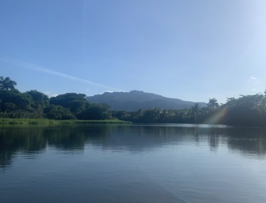 Rainforest kayak tour