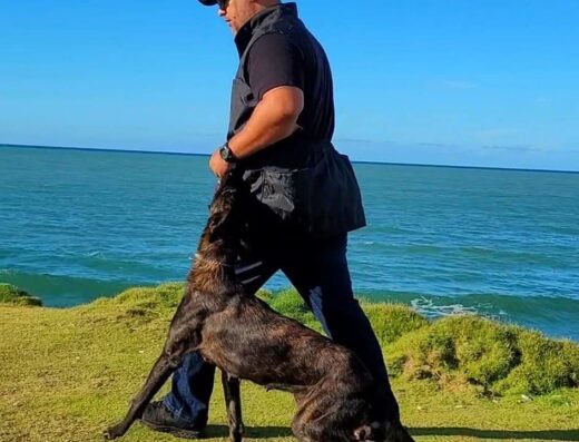 Loyalty k9 International