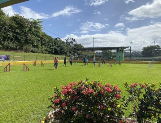 Centro De Entrenamiento Canino de Bayamón
