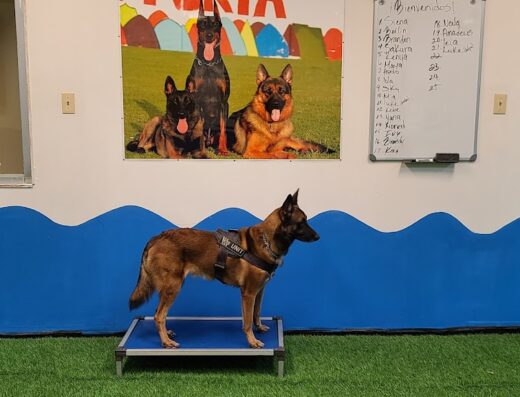 Loyola’s Kennel