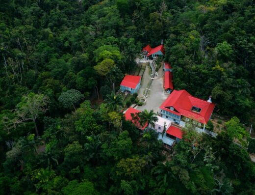 Hacienda Buena Vista – Para la Naturaleza
