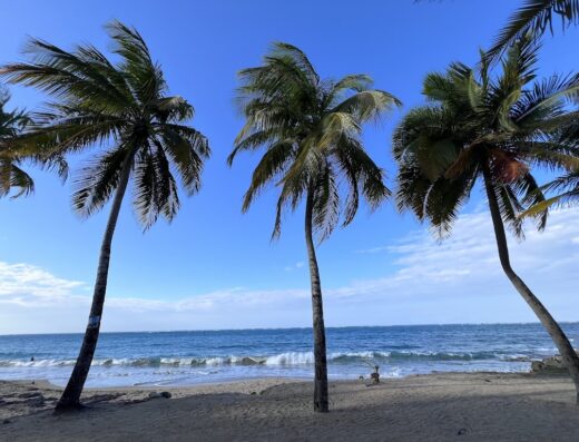 Salsa Tours PR LLC.