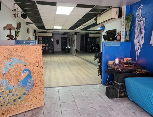 Blue Lotus Studio – Estudio de Baile