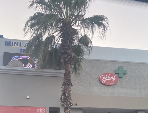 BLeaf Dispensary