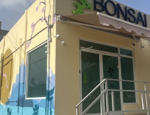 Bonsai Cannabis Collection
