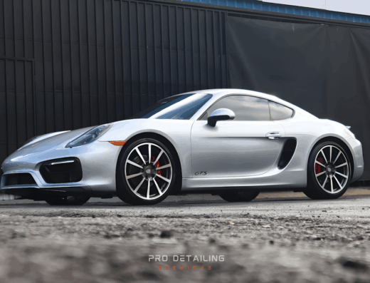 Pro Detailing Services