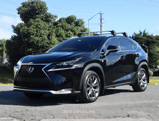 Pro Detailing Services