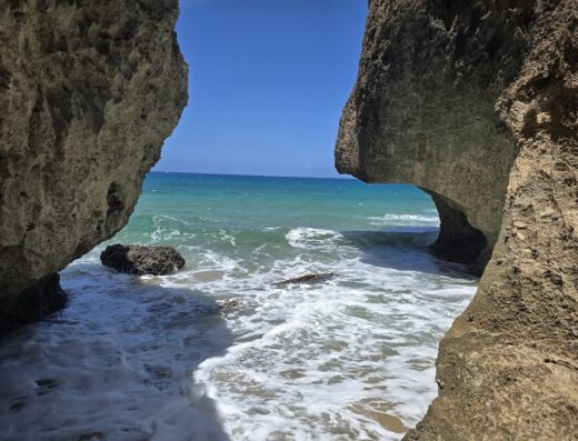 Survival Beach