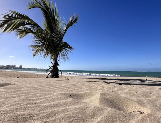 Carolina Public Beach