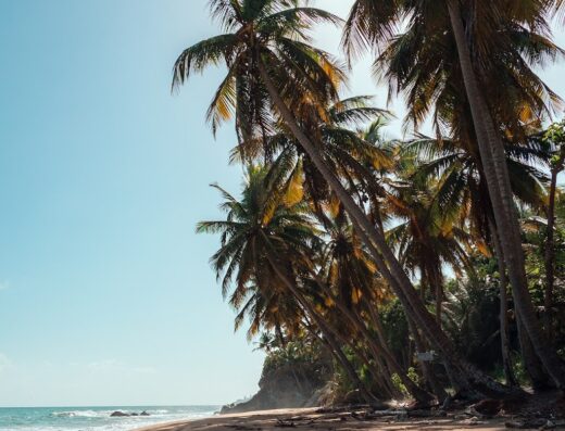 Emajaguas Beach House