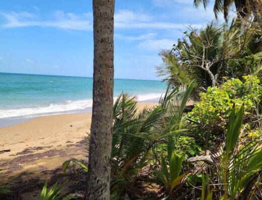 Emajaguas Beach House