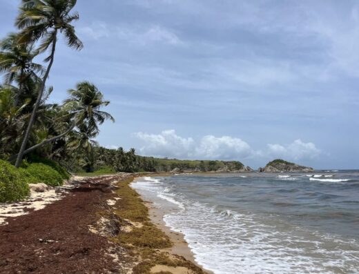 Secret Beach