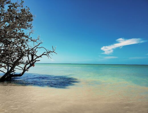 Los Pozos Beach