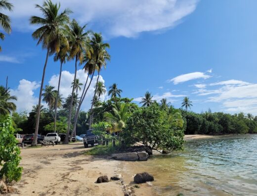 Playa Ostiones