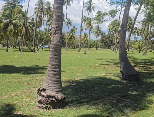 Tanga Beach