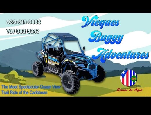 Vieques offroad buggy adventures