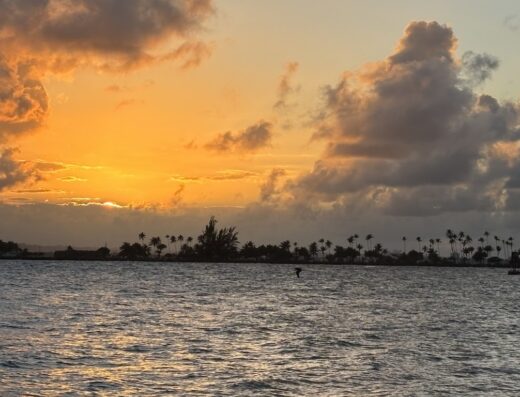 RST – Rico Sun Tours DMC