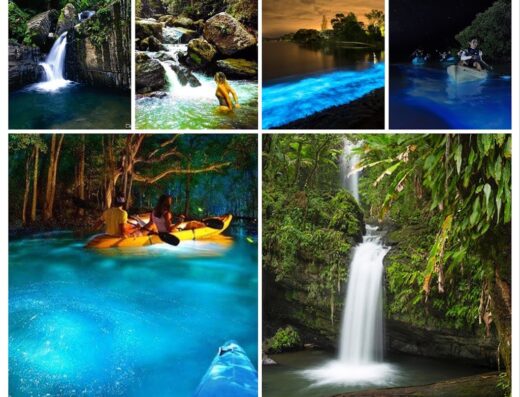 Zipline Tours Puerto Rico