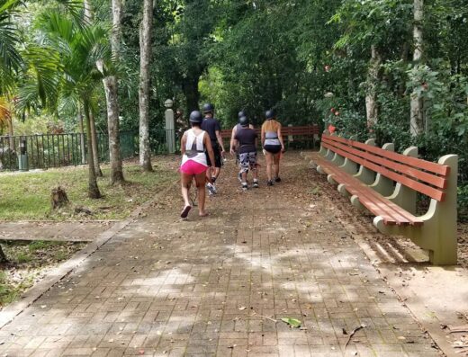 Camuy Zip Line