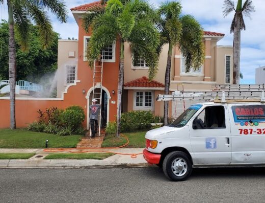 Carlos J Painting and Maintenance inc