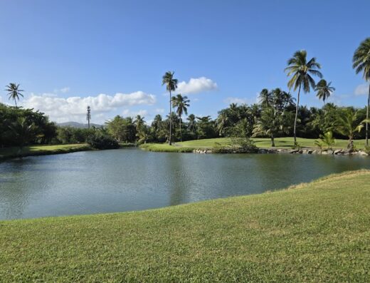 Palmas Athletic Club at Palmas del Mar