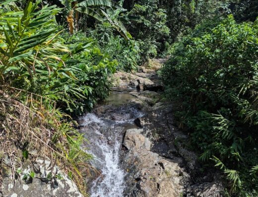 Cascada Las Delicias