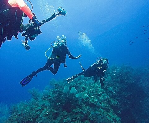 Rincon Diving & Snorkeling