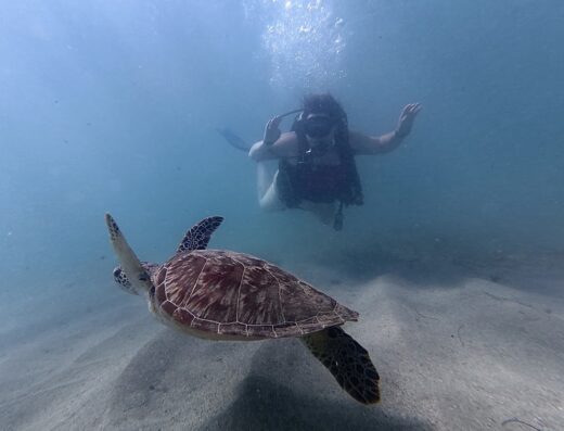 Try Snorkeling and Scuba Diving – San Juan