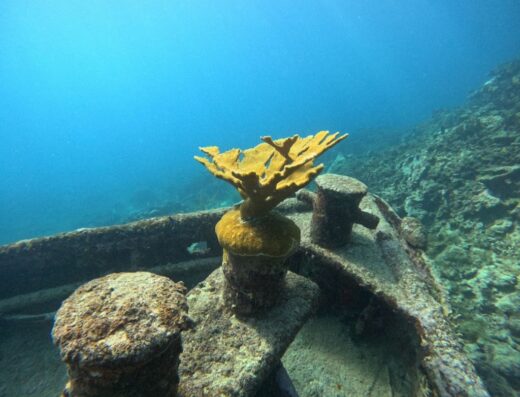 Culebra Snorkel with Locals
