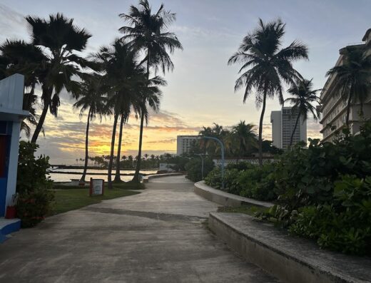 Scuba Dogs at Escambrón Marine Park