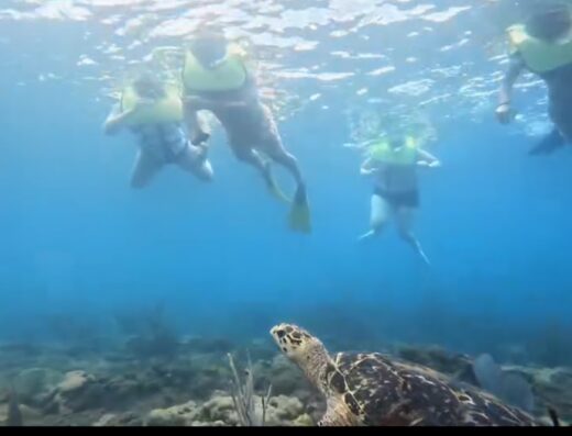 Great Escape Puerto Rico