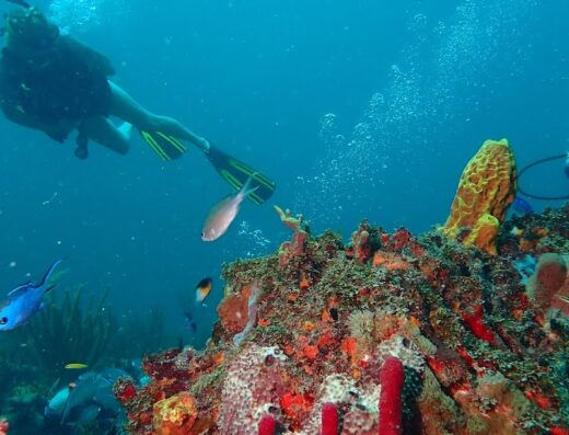 Great Escape Puerto Rico