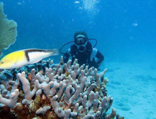 Sea Ventures Pro Dive Centers