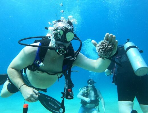 413 Divers