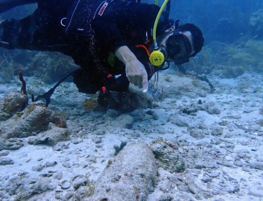 Condado Snorkel with Locals