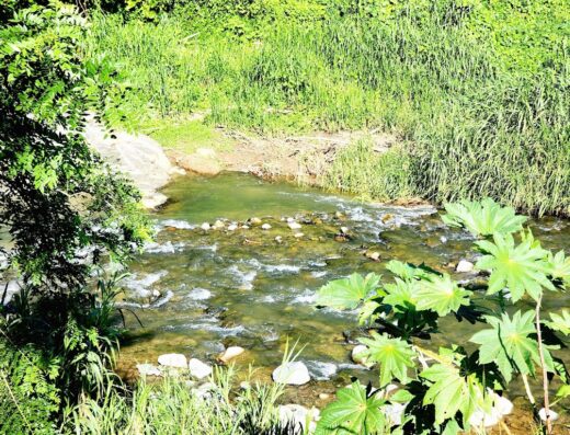 Hacienda Prosperidad