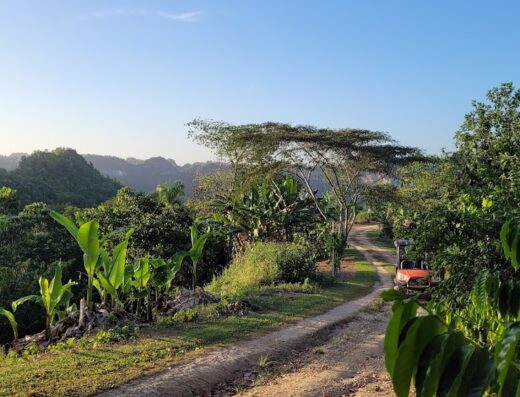 Hacienda La Tradición