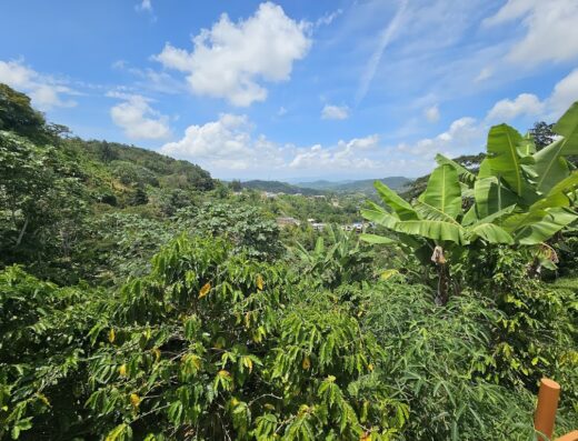 HACIENDA ENCANTO NATURAL