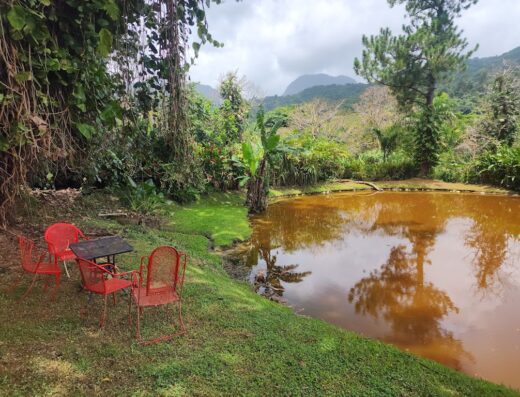 Hacienda San Pedro Jayuya – Coffee Shop