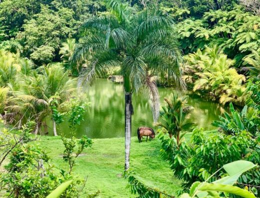 Monte Sagrado Reserve