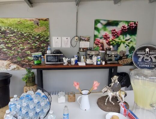 Hacienda Iluminada Coffee Farm
