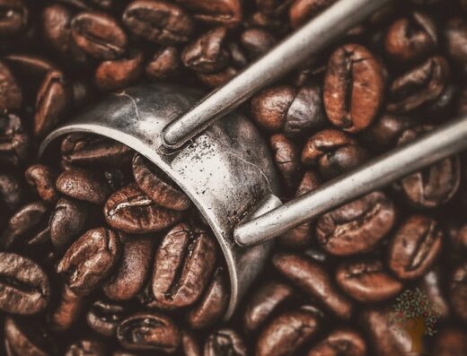 Hacienda Iluminada Coffee Farm