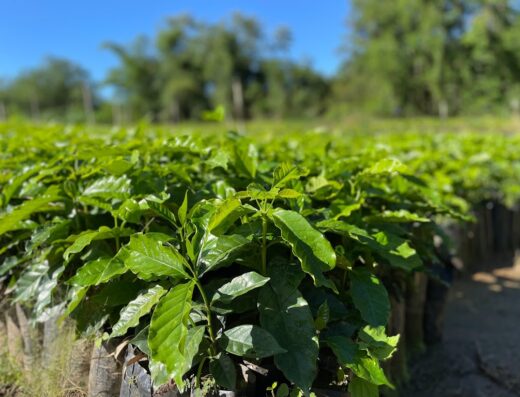 Hacienda Las Malcriá